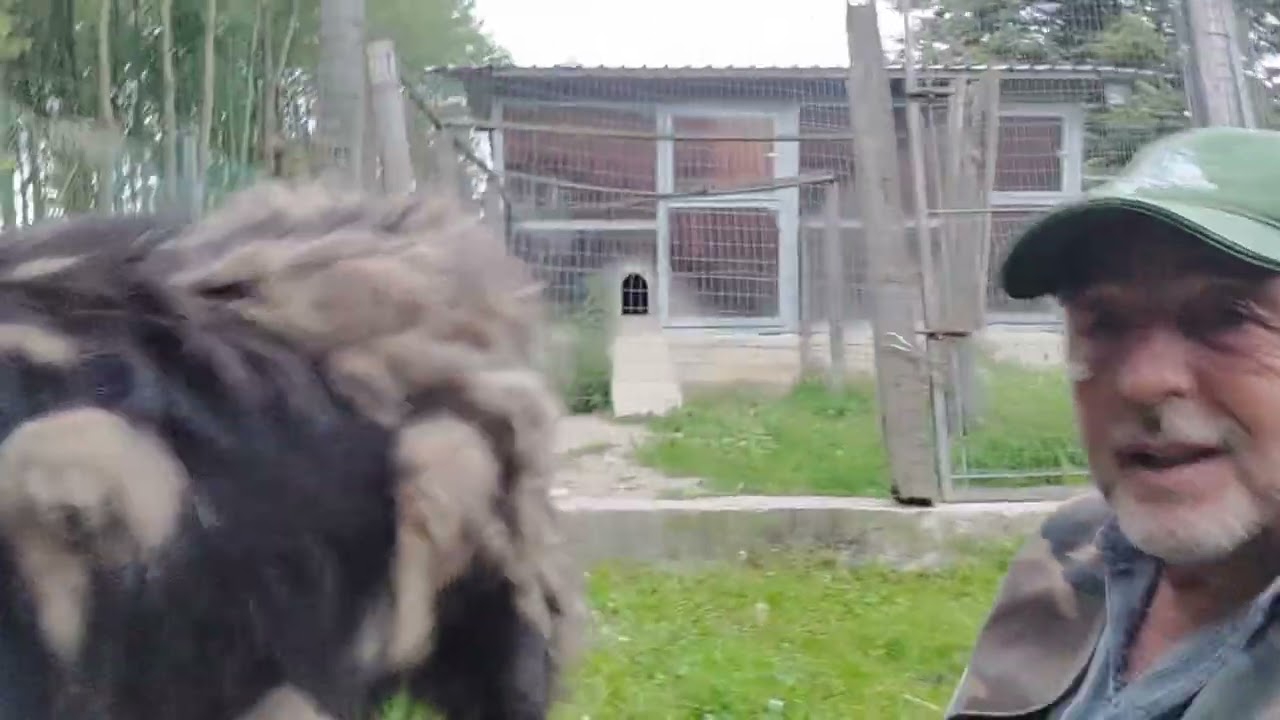 (Video 14) - PUMAS IL TERRIBILE! Ecco perché non lo avete più visto al mio fianco nei video!