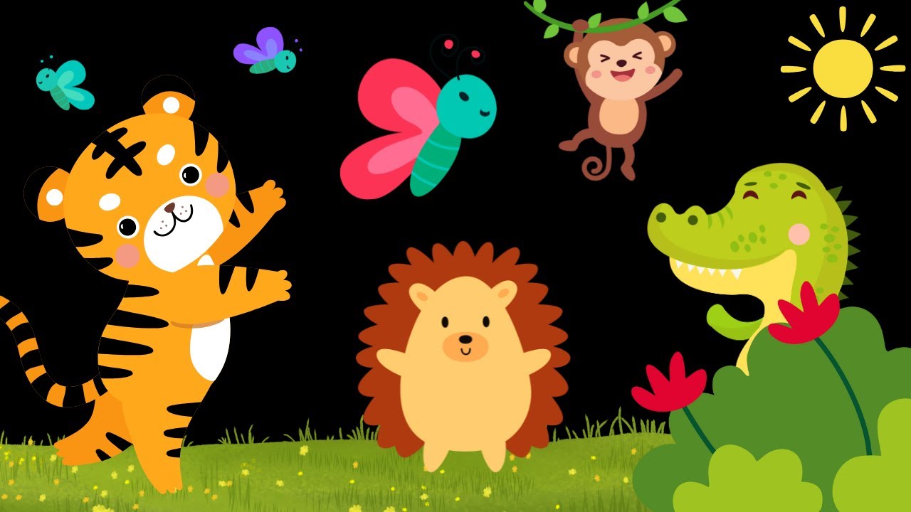 Baby Sensory Video - Tummy Time - Sensory Videos for Babies - Visual Stimulation for Newborn #baby