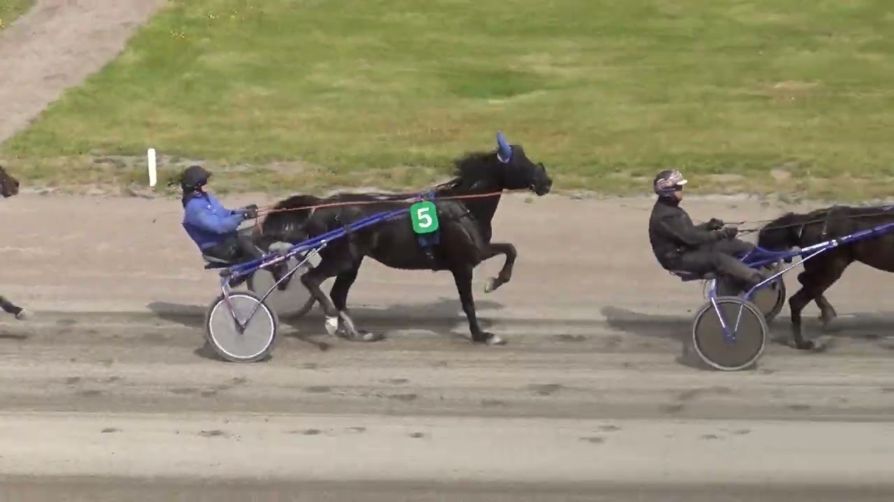 Provlopp 2 den 31/5-25 Halmstadtravet