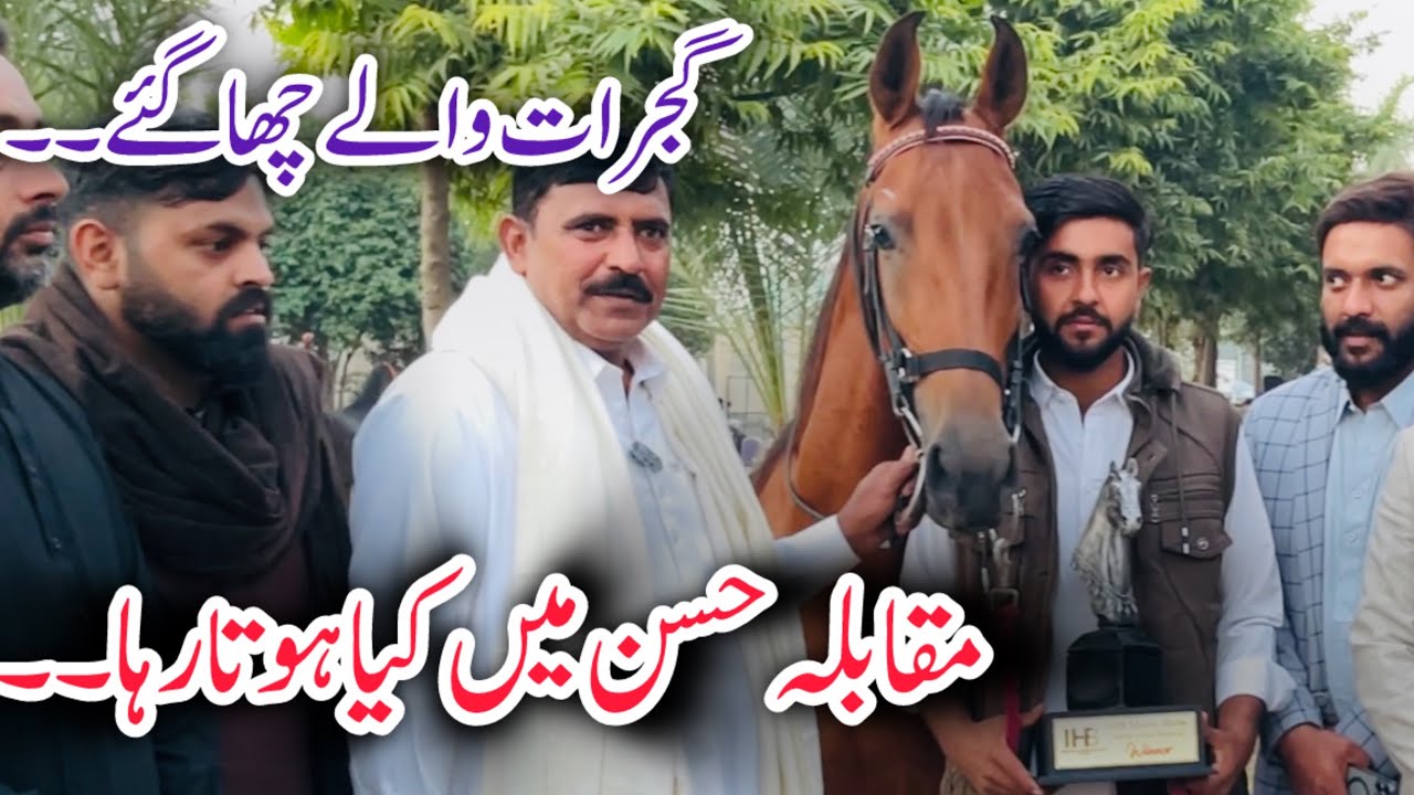 Muqabla E Husan Ghodian Gujrat #horse #horselover