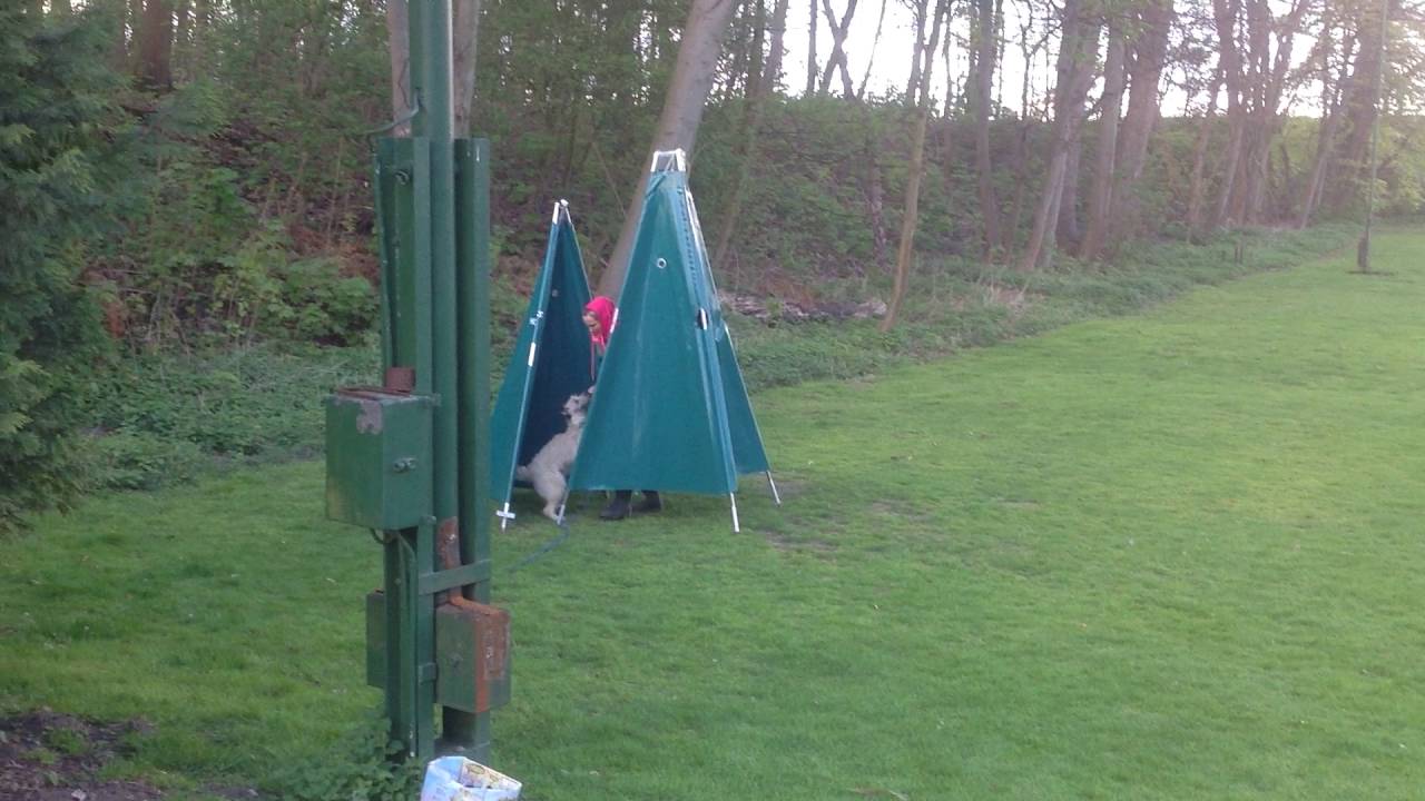 ZTP Bouvier des Ardennes Hasenhirsch Bambi