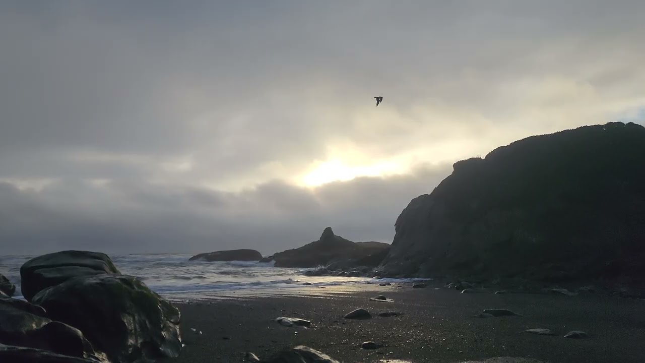 Kingtide on Kalaloch beach. Beach 4 Sunbreak