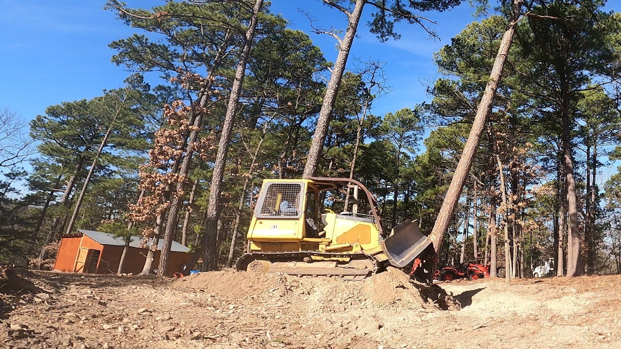 Dozer VS Trees