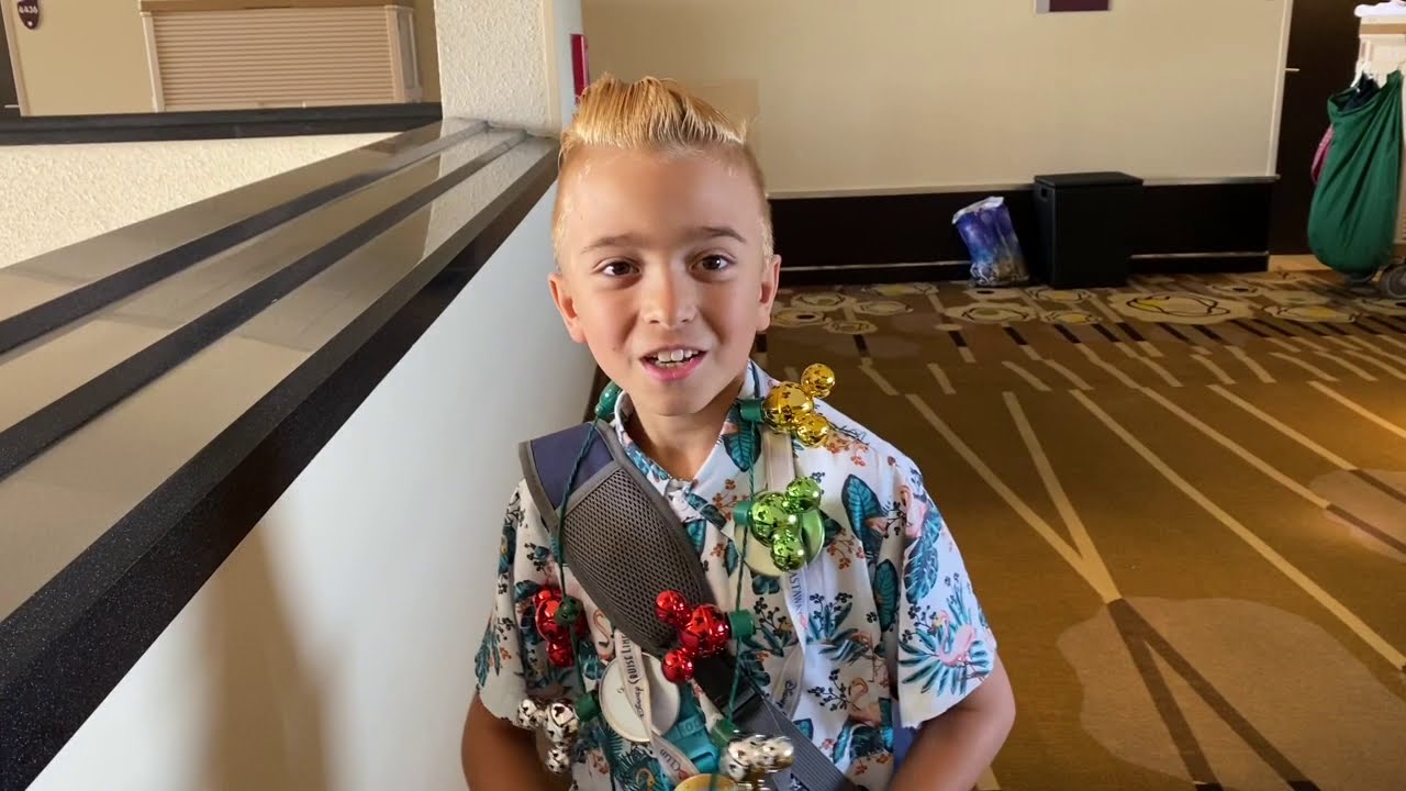 Disney&rsquo;s Contemporary Theme Park View. Room Review 2020