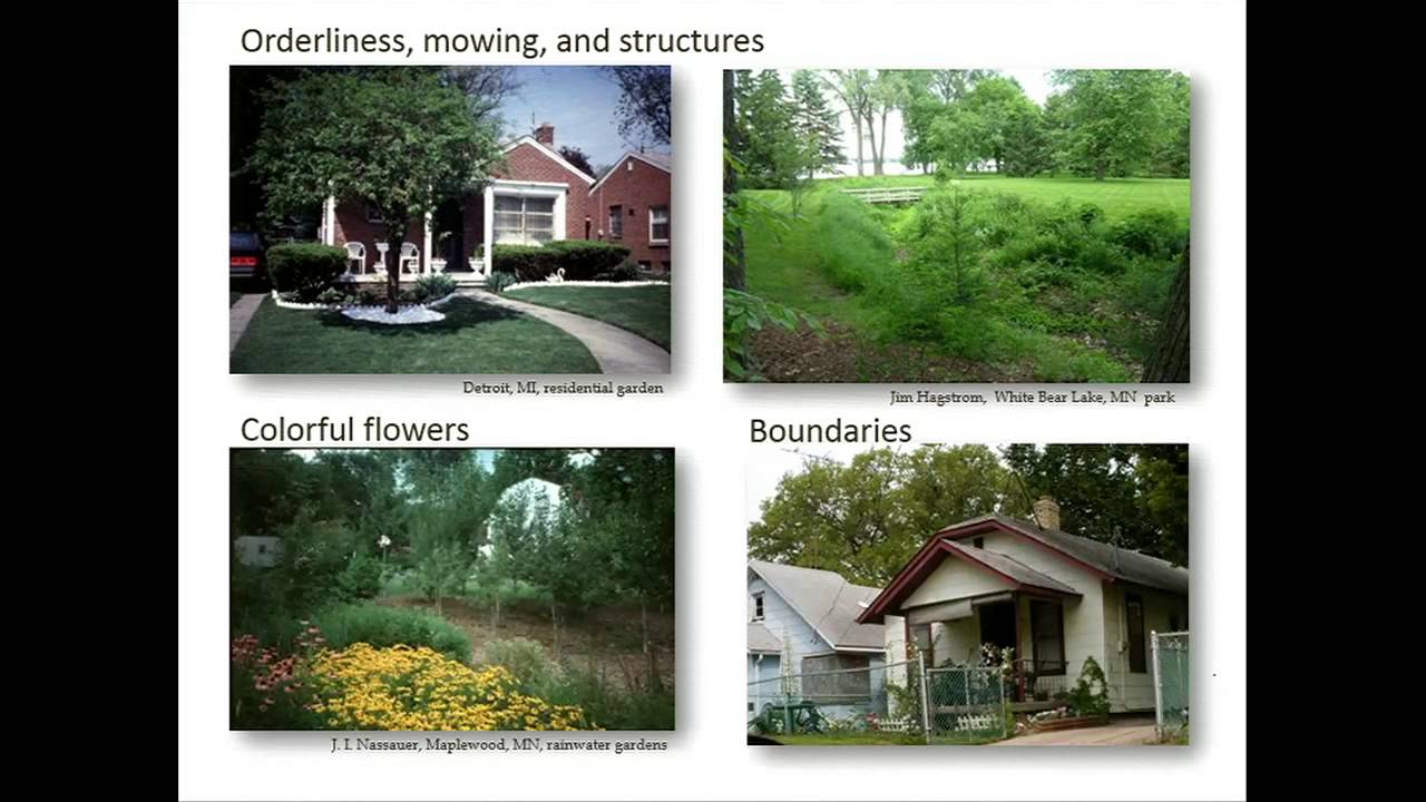 Urban Green Infrastructure: Barriers and Opportunities | Great Lakes Week 2015