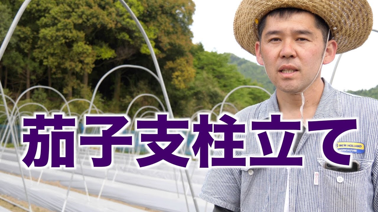 5/5  茄子灌水チューブと支柱立て・ピーマン支柱立て#364