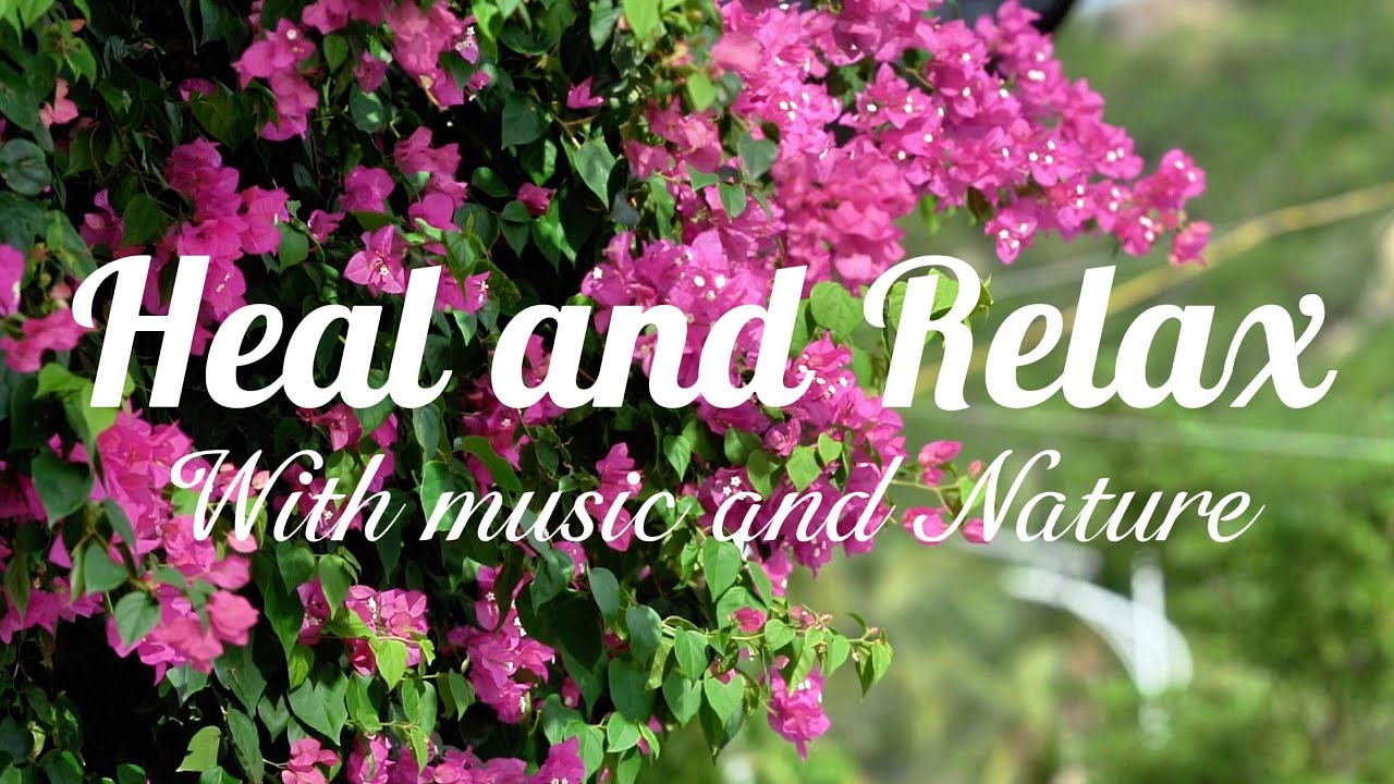 Relaxing With nature and Music with piano and pads and Healing frequency