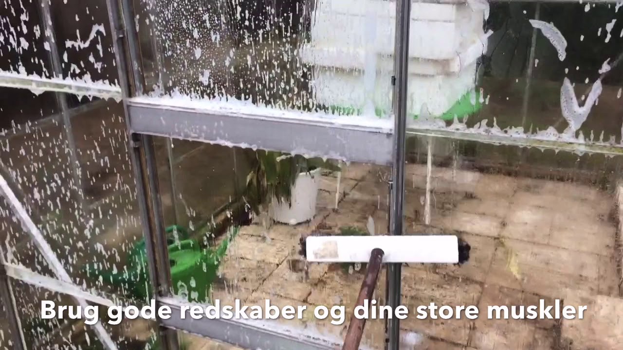 Reng&oslash;r drivhus med regnvand