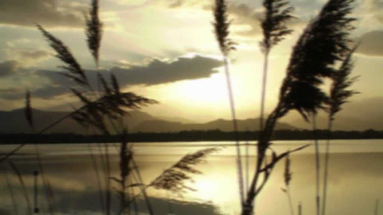 Michele Zarrillo - L'acrobata