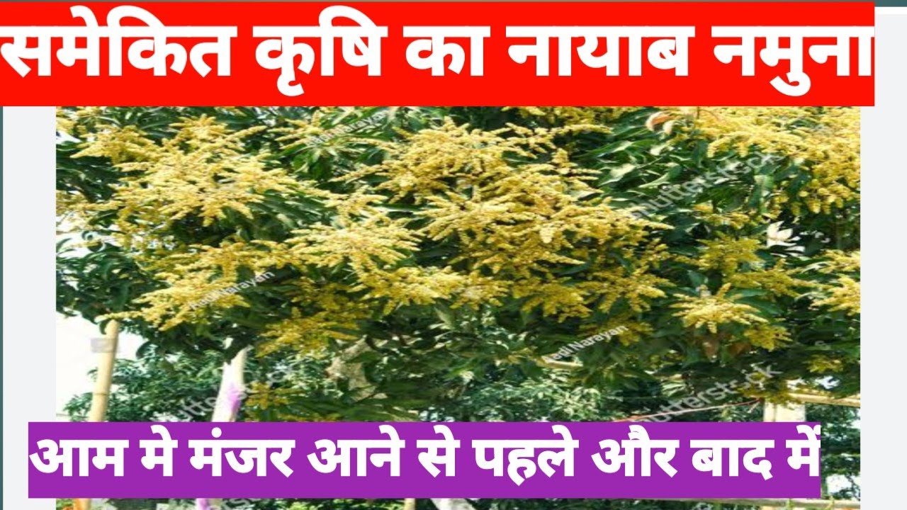 समेकित कृषि