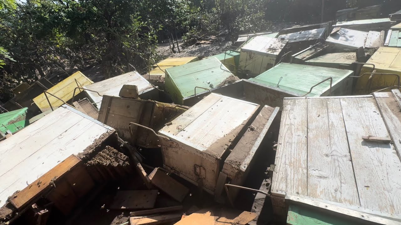 Stupii luați de apă!!