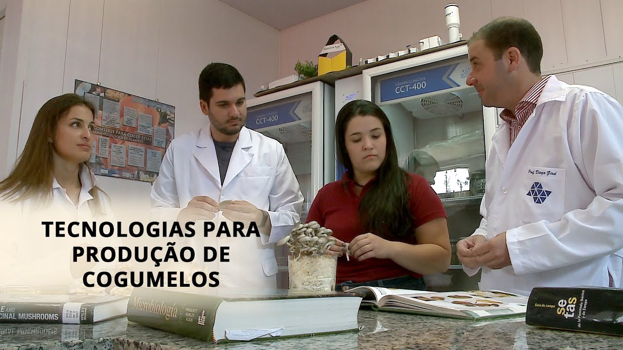 Ciência Sem Limites | Tecnologias para a produção de cogumelos