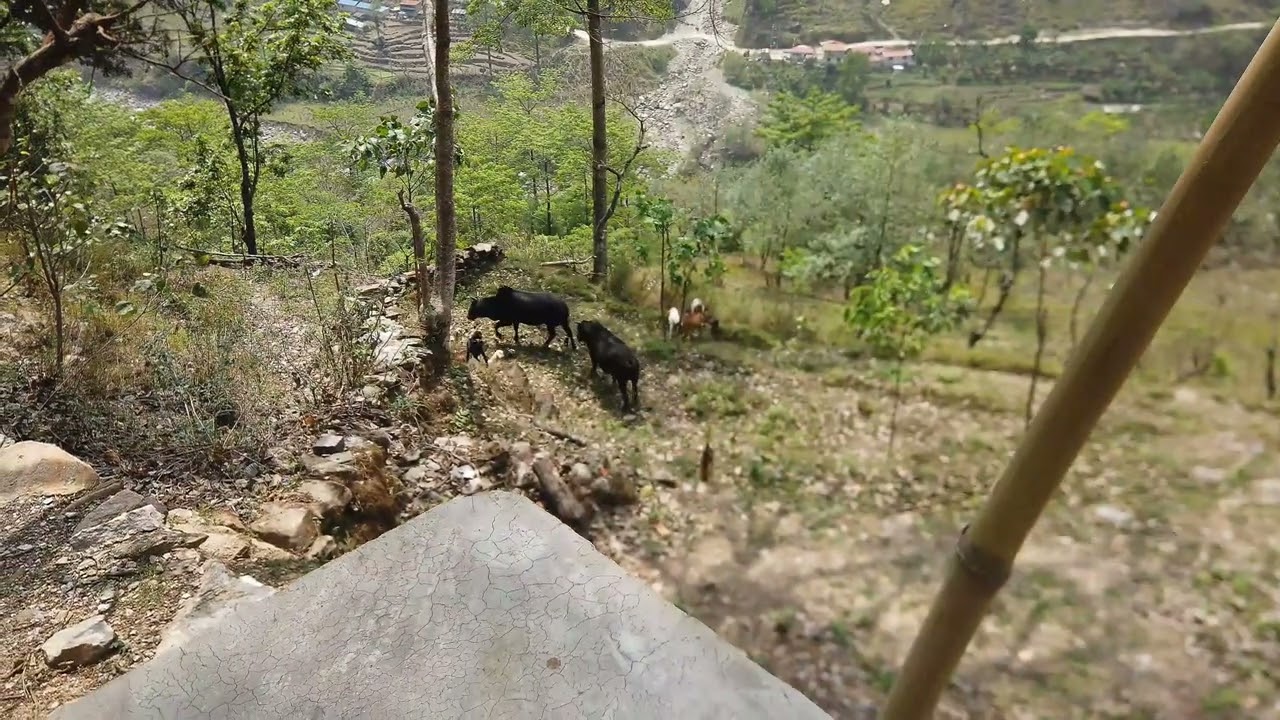 2025 Annapurna Circuit Trek from Besisahar to Lake Tilicho