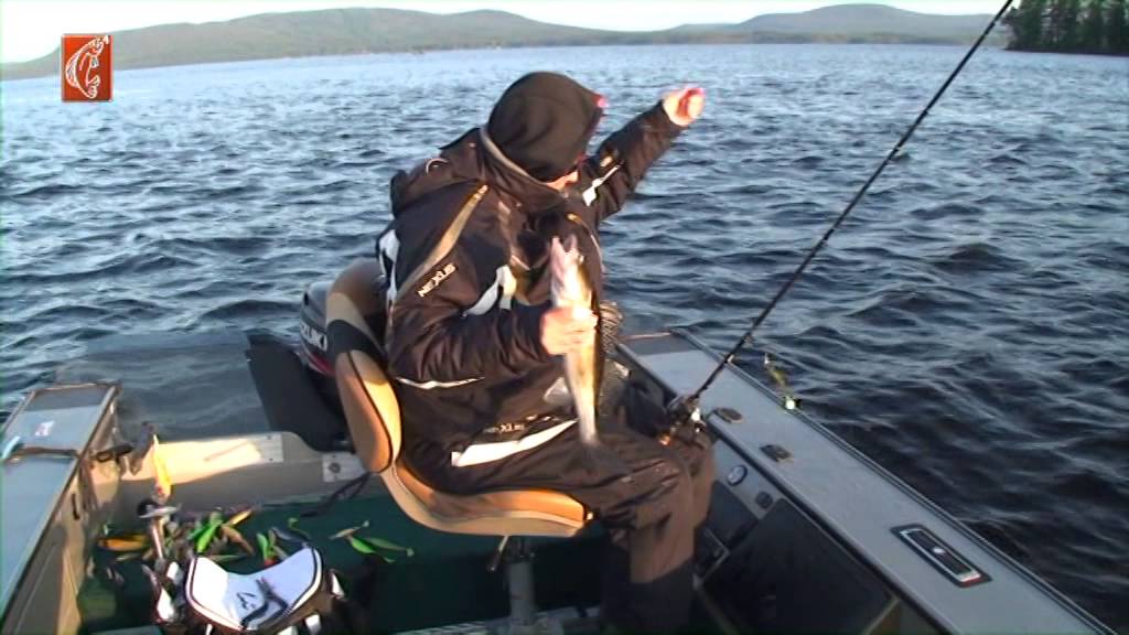 Bergviken Fishing