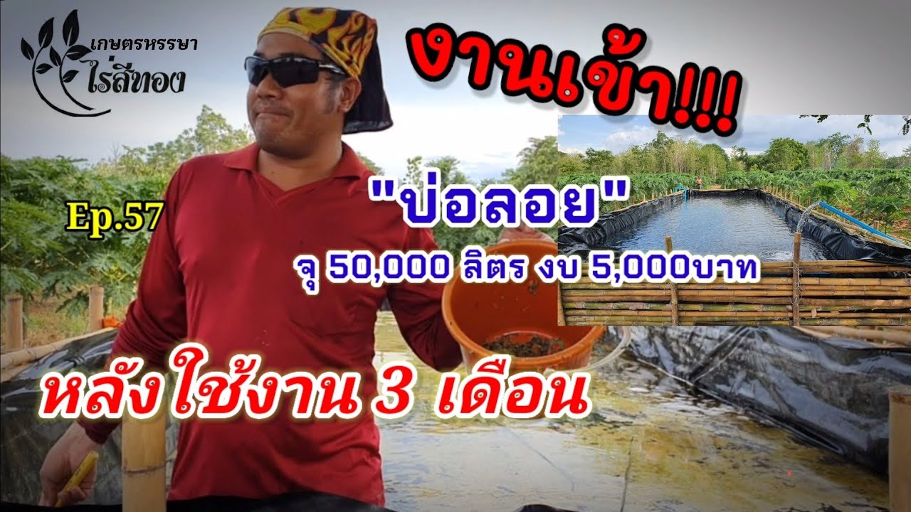 งานเข้า!! หลังใช้งาน3เดือน (บ่อลอย งบหลักพัน จุ50,000ลิตร ที่ทำเอง)