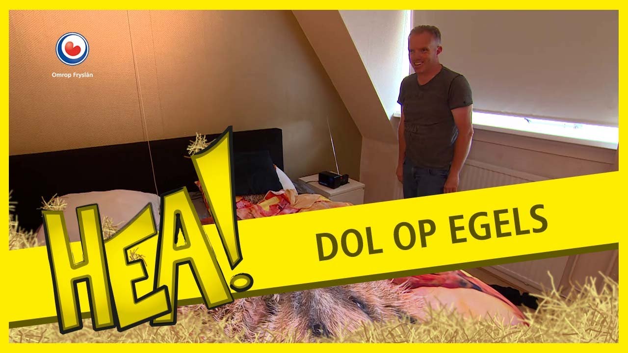 Een egel in bed | HEA!