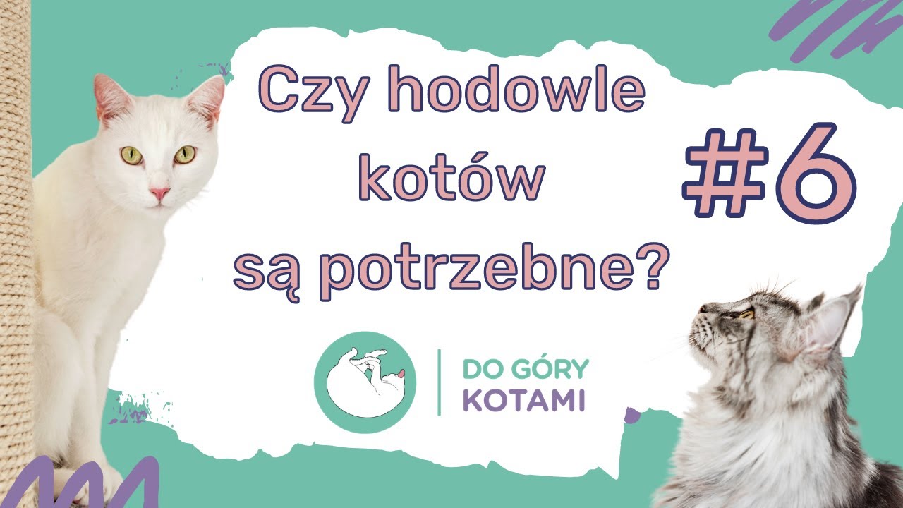 Czy hodowle kotów są potrzebne? - Dorota Szadurska | Podcast Do góry kotami 006 | Joanna Szopińska