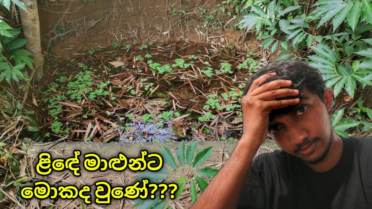 ළිදට මොකද වුණේ??? | Well & Future plans