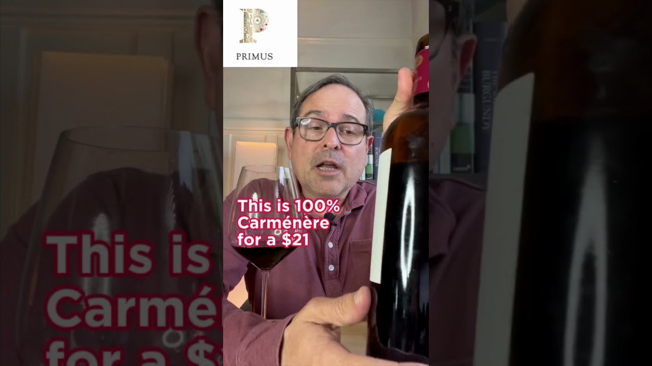 Primus Valle de Colchagua Carménère '20 - 91 Points (Chilean wine) 