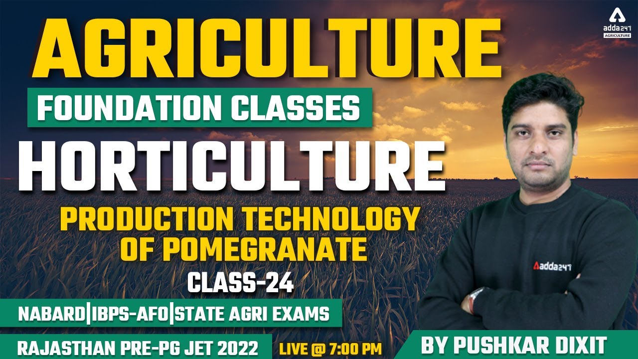 Agriculture Foundation | Horticulture #24 | Production technology of Pomegranate | Rajasthan JET