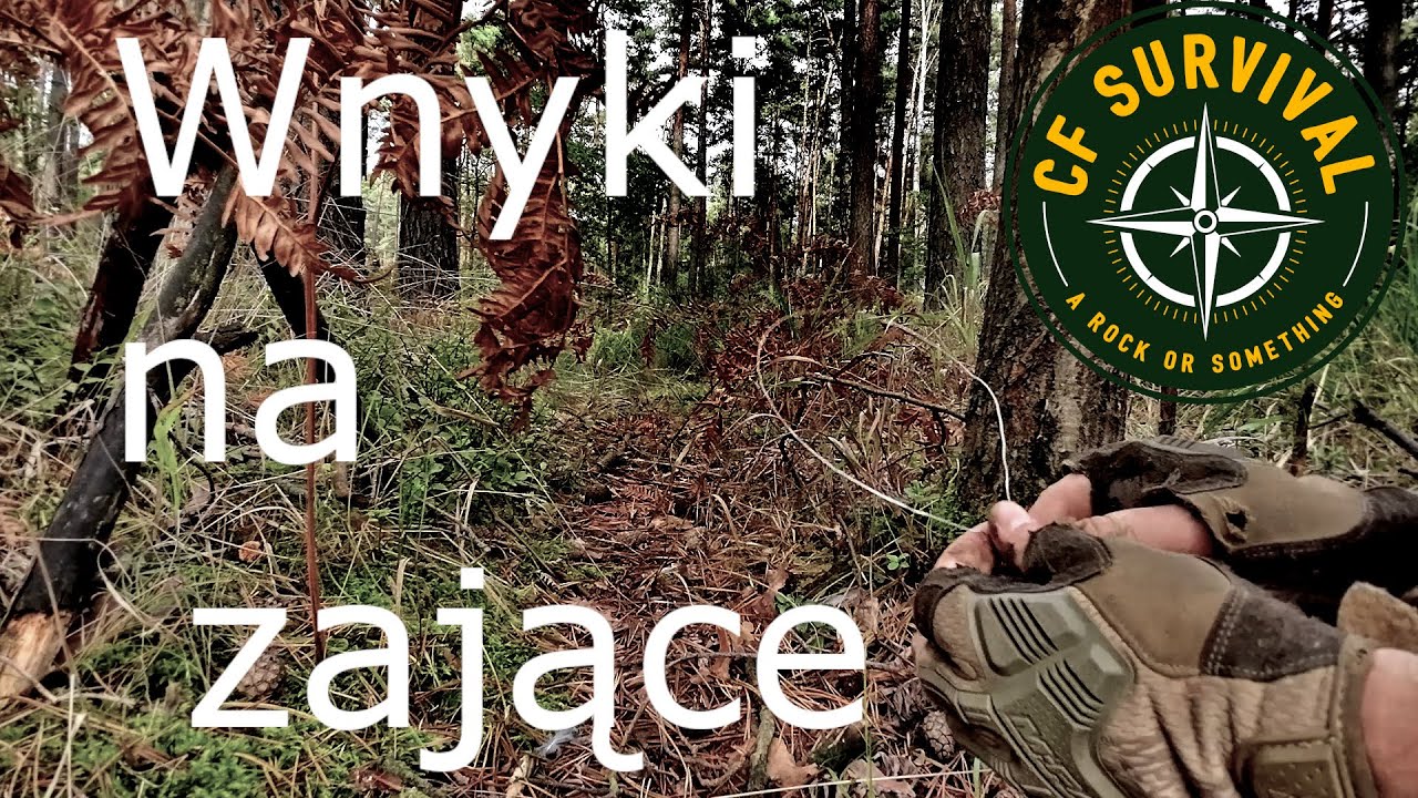 Jak przetrwać gdy jesteś w dupie odc. 1 - wnyki na zająca