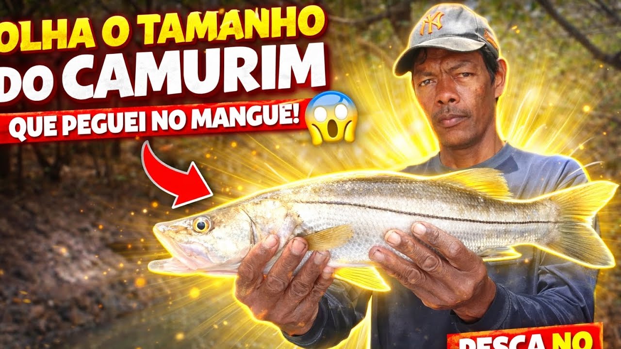 🔥 Olha o Tamanho Desse Camurim! Gigante Pego no Meio do Mangue! 🐟🌿