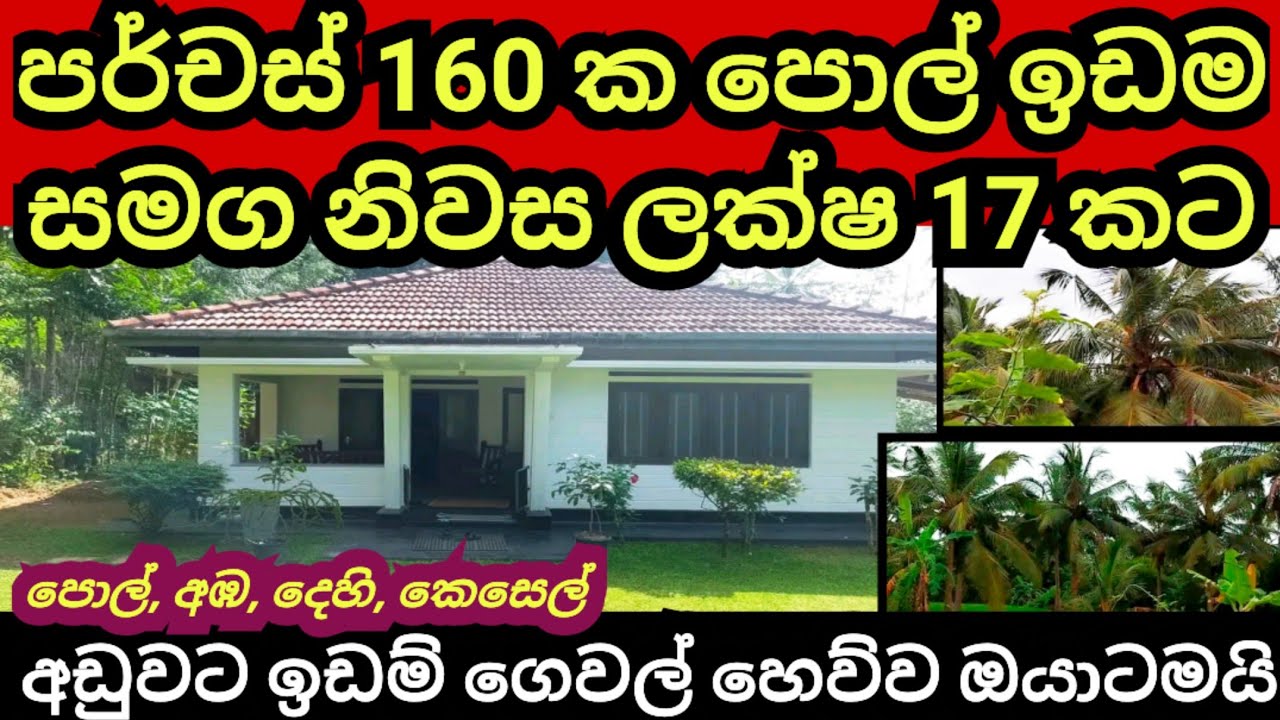 පර්චස් 160 ක පොල් ඉඩම හා නිවස රු ලක්ෂ 17 කට | Coconut land | Pol idam | House for sale | Idam sale