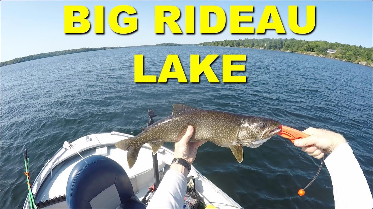MULTI-SPECIES day at BIG RIDEAU LAKE!  Featuring Dan Drouin aka 'The Master' and Toshi the Lab.