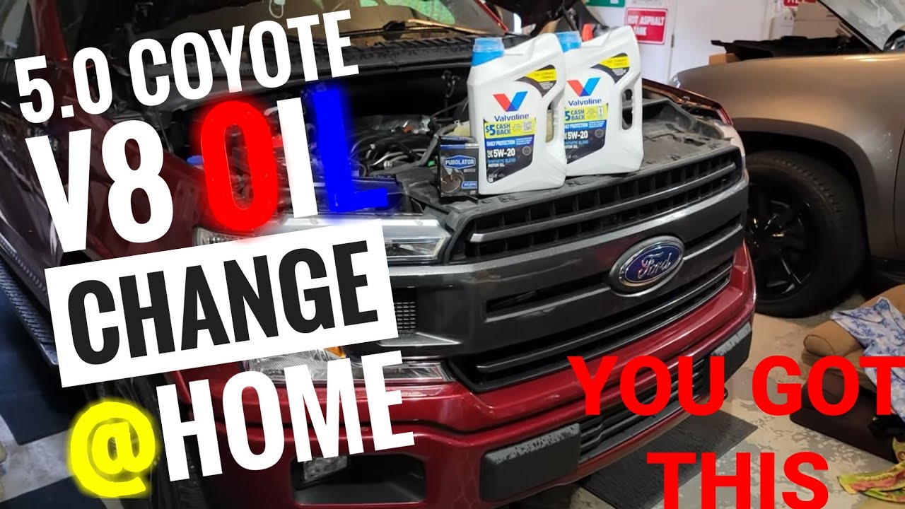2019 5.0 F-150 Coyote — Замена масла | Инструкции — дилерский центр FORD TECH на дому