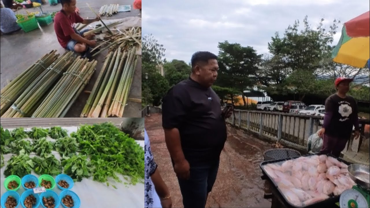 JELU BABAS/HAIWAN HUTAN ANTARA YANG DI JUAL TAMU DAM BATANG AI #ukaisenangkasenang 