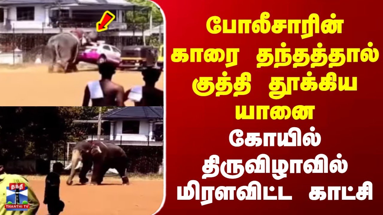 Kerala | Elephant | காரை தந்தத்தால் குத்தி தூக்கிய யானை | கோயில் திருவிழாவில் மிரளவிட்ட காட்சி