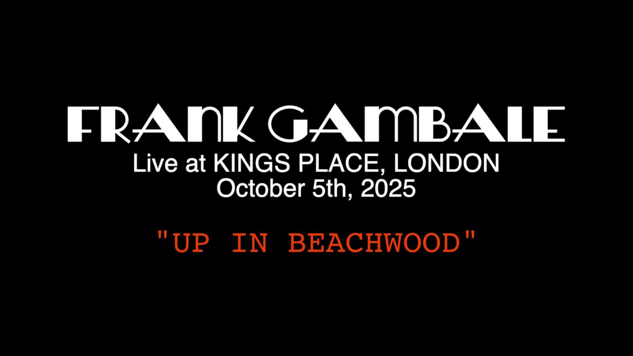 GUITARIST FRANK GAMBALE PLAYS HIS BLUESY 