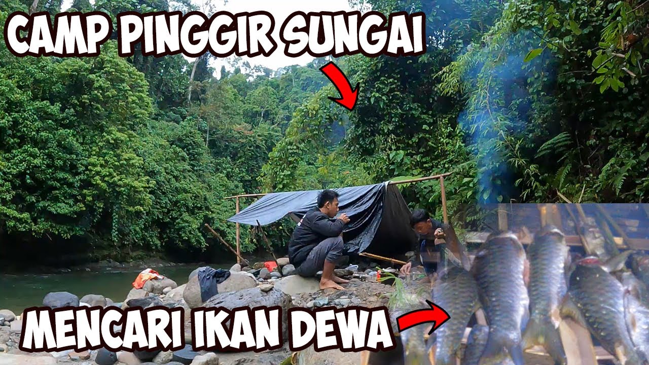 Nyelam Sungai Malam Hari Bermalam Pinggir Sungai Camping Dalam Hutan Fishing Camping Part 33