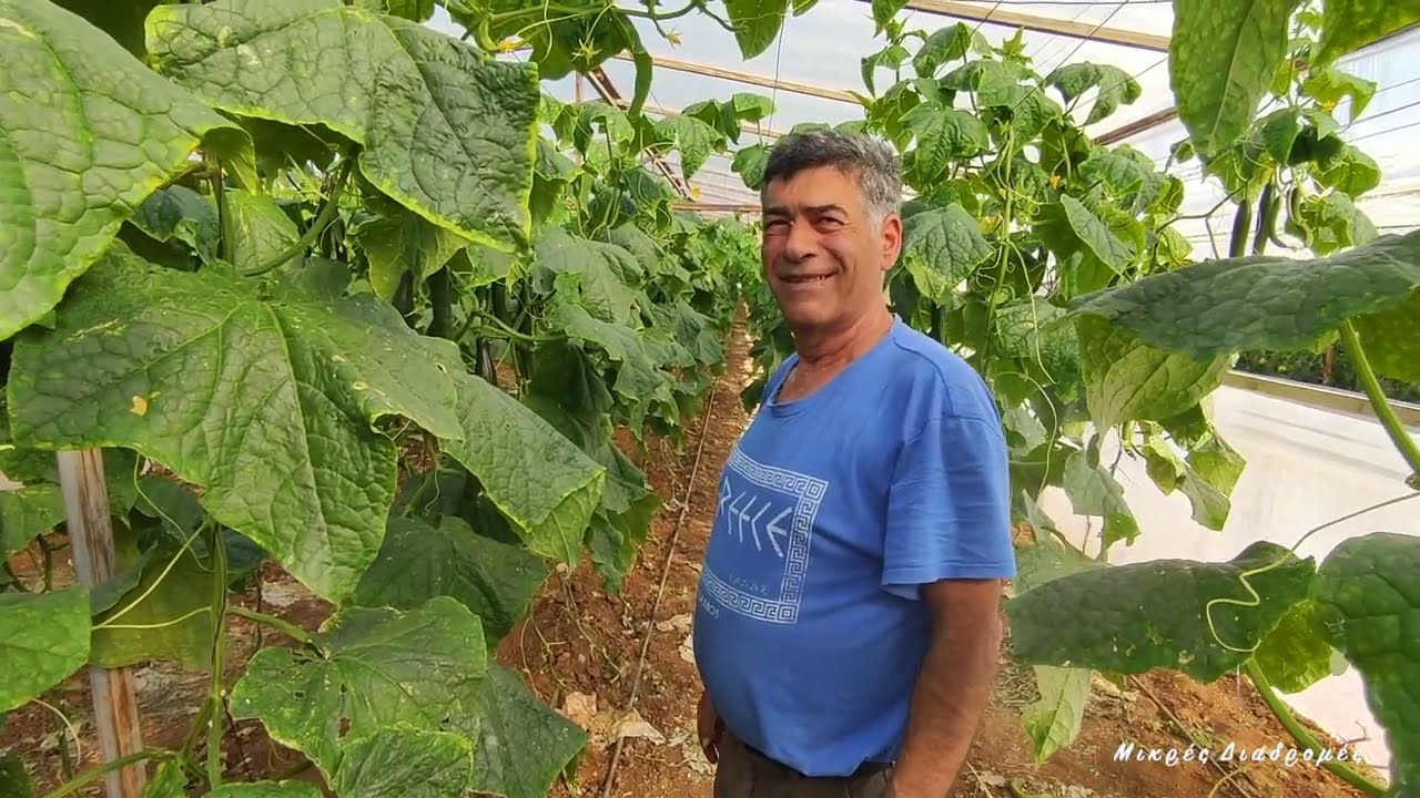 ΚΗΠΕΥΤΙΚΆ ΟΙΚ.ΜΑΚΡΟΓΛΟΥ ΠΡΑΓΜΑΤΙΚΆ ΕΝΤΥΠΩΣΙΆΣΤΗΚΑ ΑΠΟ ΤΑ ΘΕΡΜΟΚΉΠΙΑ ΚΑΙ ΤΗΣ ΚΑΛΛΙΈΡΓΕΙΕΣ ΚΗΠΕΥΤΙΚΏΝ