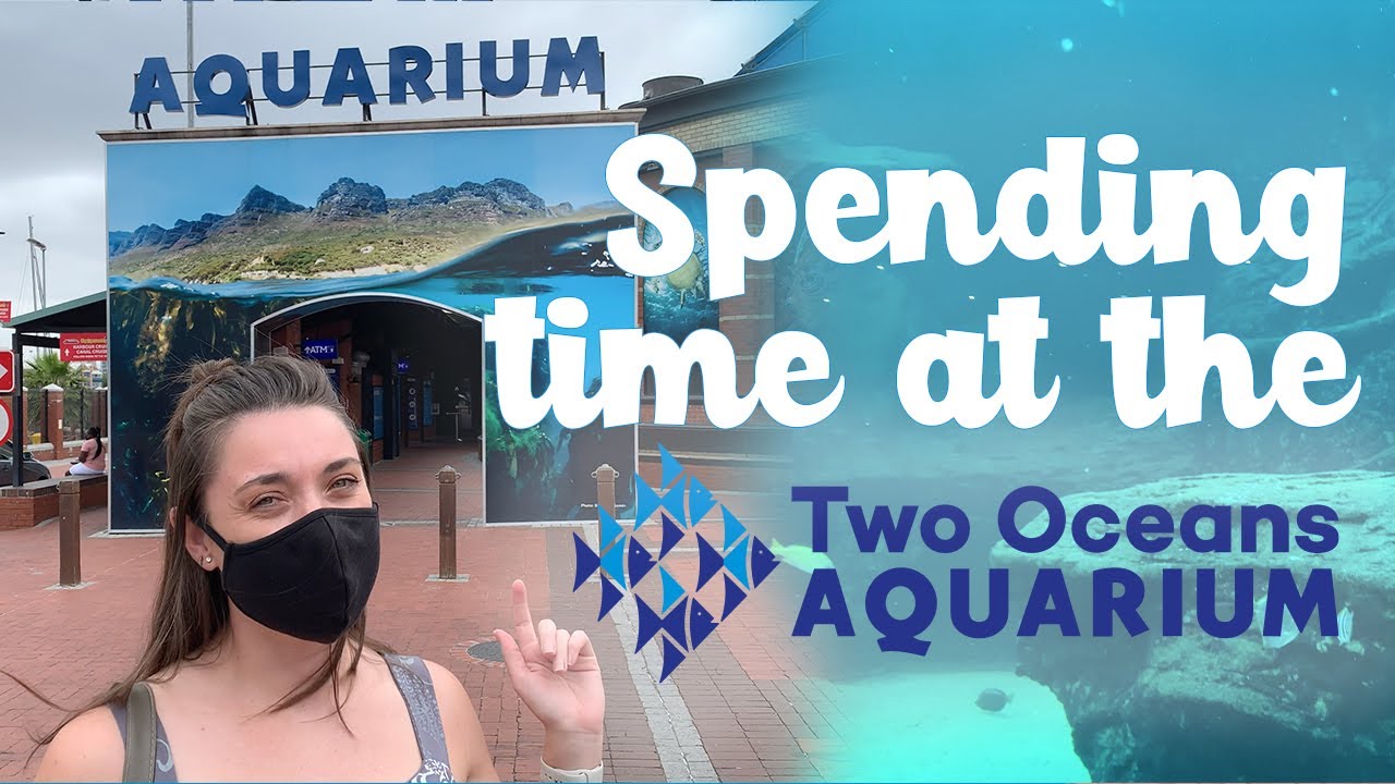 Two Oceans Aquarium | V&A Waterfront Cape Town | Cape Town South Africa | Penguins and Sharks