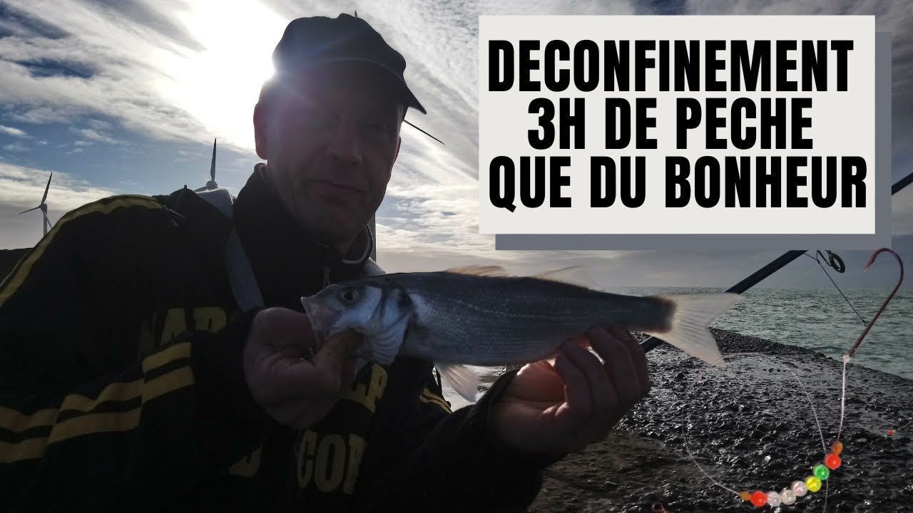 DECONFINEMENT 3H de pêche en SURFCASTING à la digue carnot 