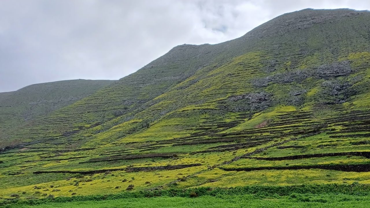 Fuerteventura y su naturaleza verde 