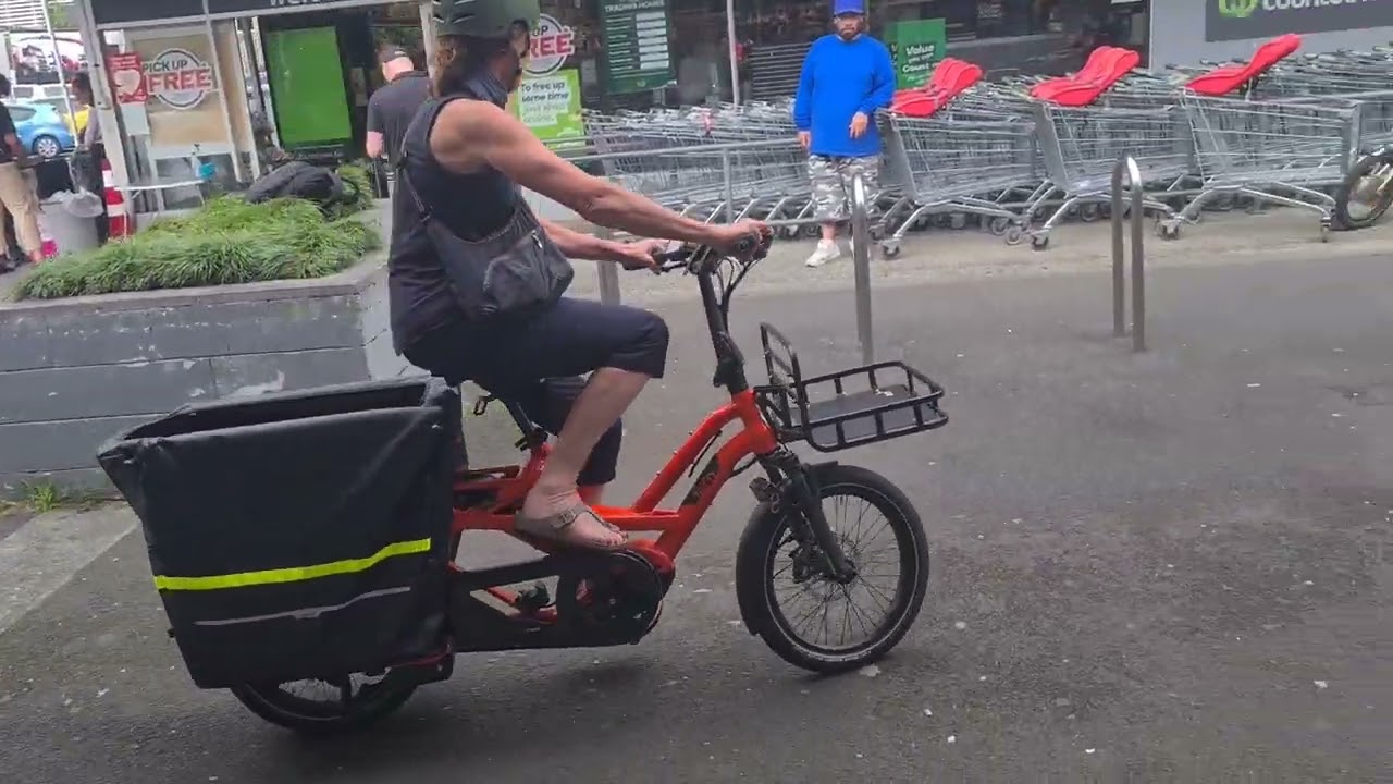 Going Shopping on a GSD