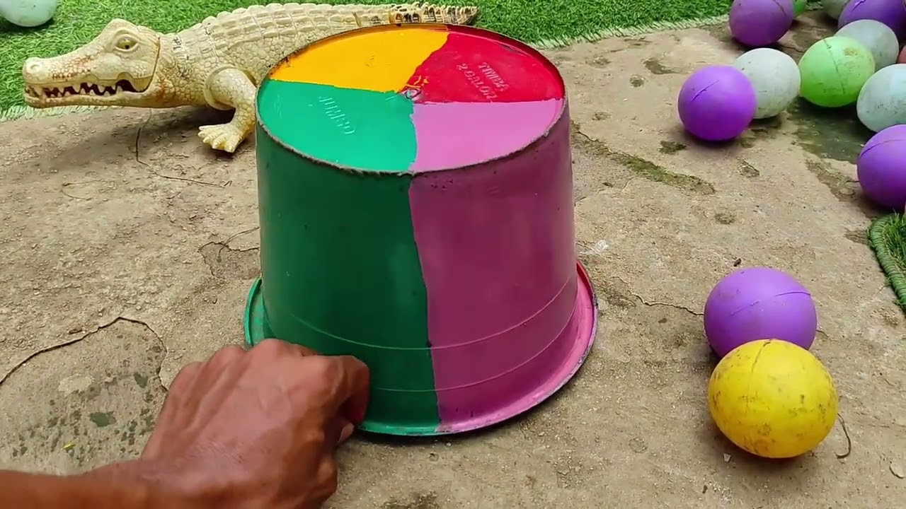 HAPPY RAINBOW CHICKS PLAY TIME || RAINBOW CHICKS COLORFUL MOMENTS