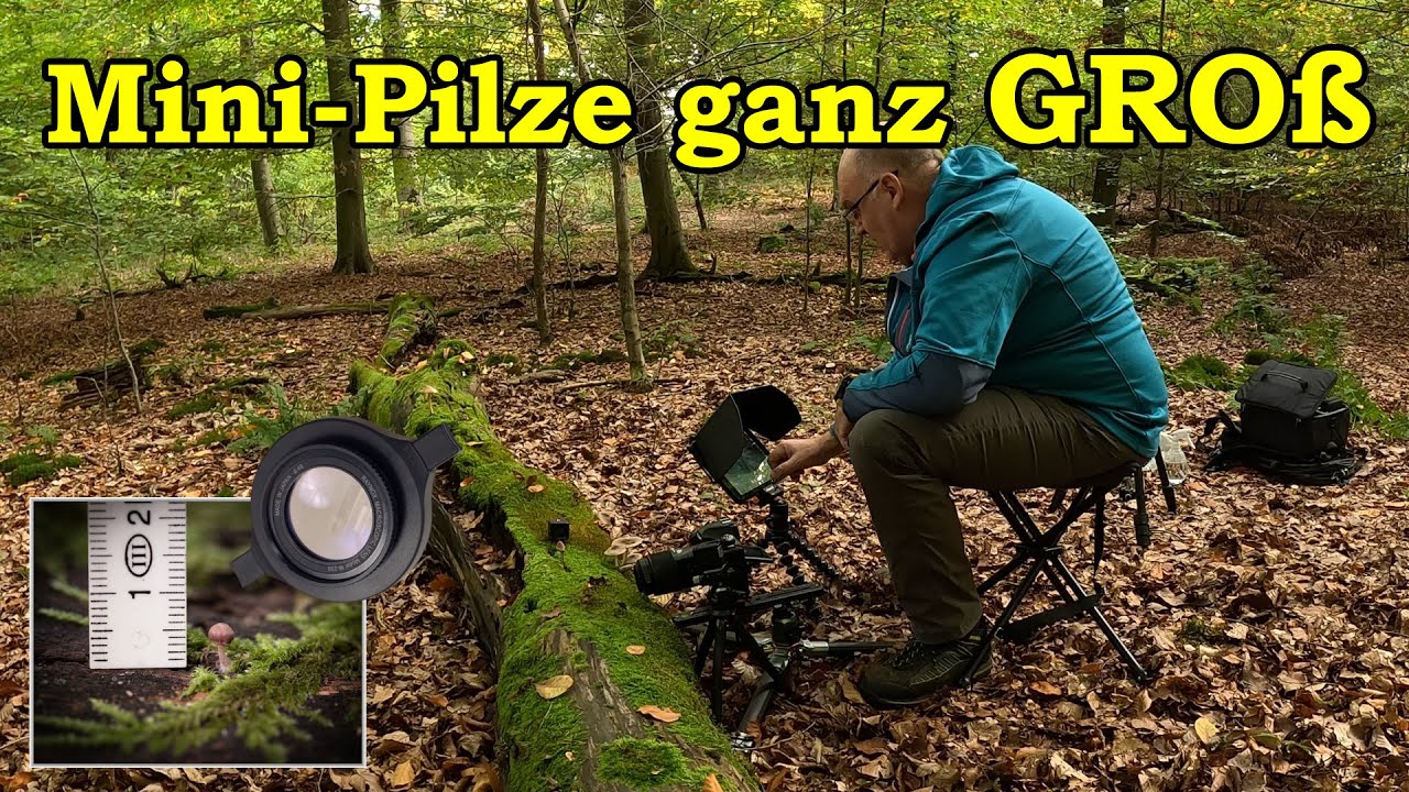 Mini Pilze ganz groß. Makro mit/ohne Raynox 250 Linse und Tablet