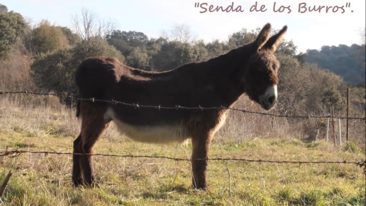 Ruta por Fuentes de Béjar