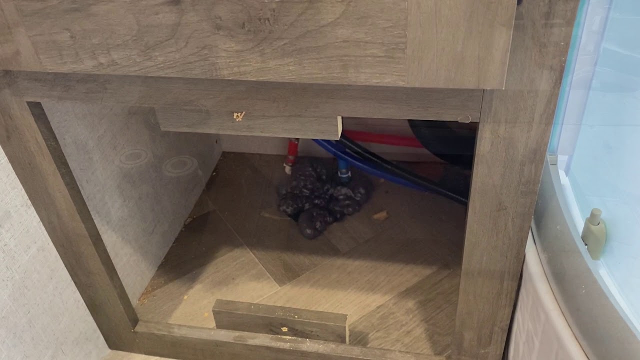 Wildwood 29vbud - Bathroom Storage Upgrade