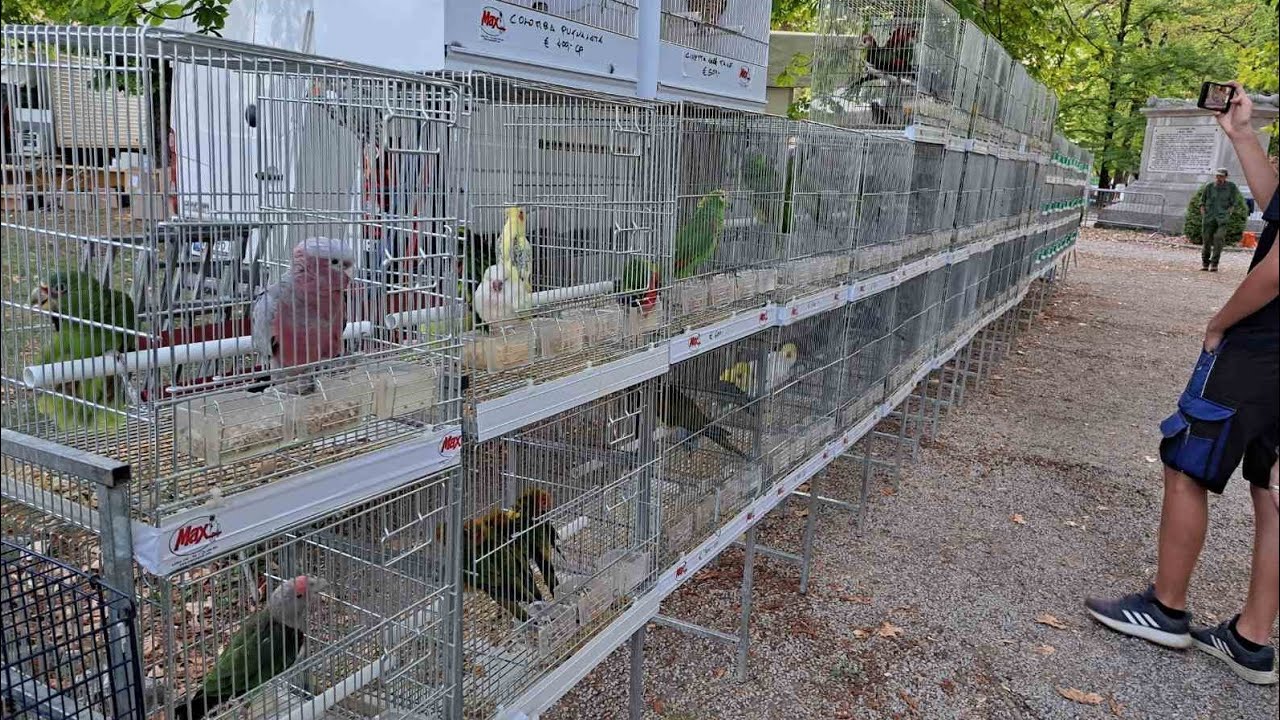 Gradisca D'isonzo Italy animal fair 15.8.2022