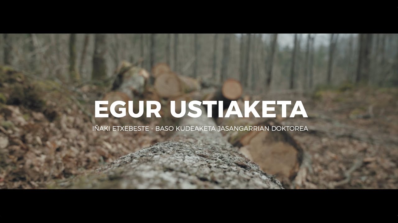 🌳🪵 2/4 EGUR USTIAKETA | TANTAI BASO JABE KOOPERATIBA