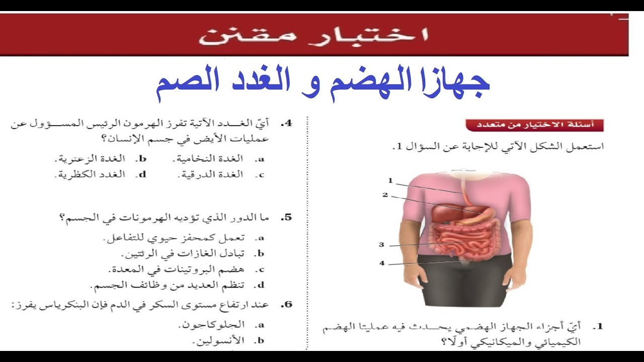 حل الاختبار المقنن باب ( جهاز الهضم و الغدد الصم )