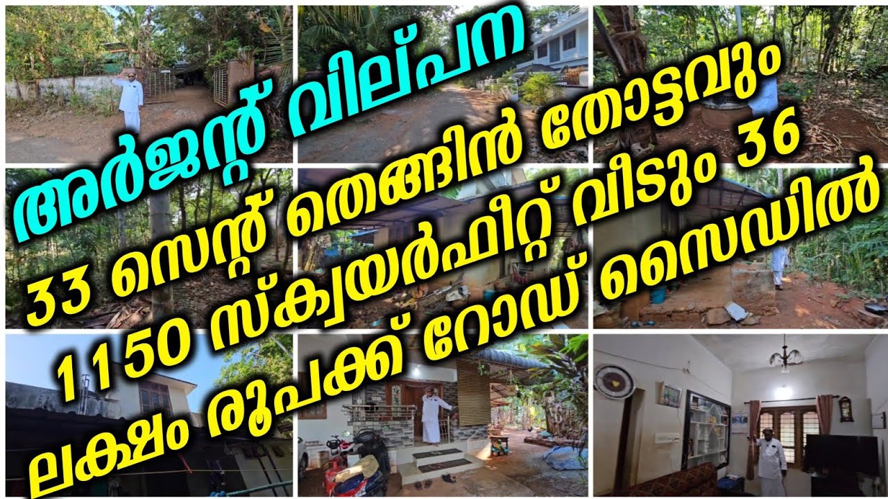 33 സെന്റ് തെങ്ങിൻ തോട്ടവും 1150 സ്ക്വയർഫീറ്റ് വീടും 36 ലക്ഷം രൂപക്ക് റോഡ് സൈഡിൽ  | house for sale |