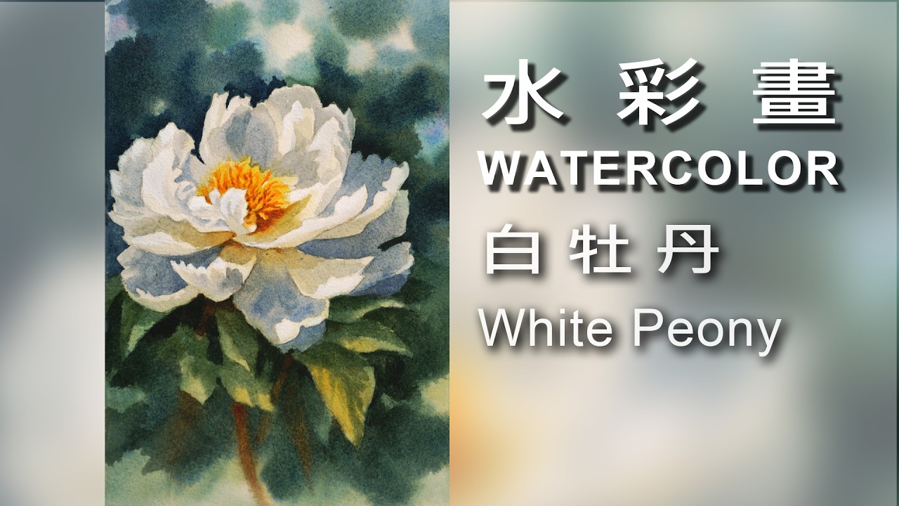White Peony 白牡丹 / Watercolor / 水彩畫 #Watercolor#draw#art#painting#artist#水彩畫#素描#繪畫