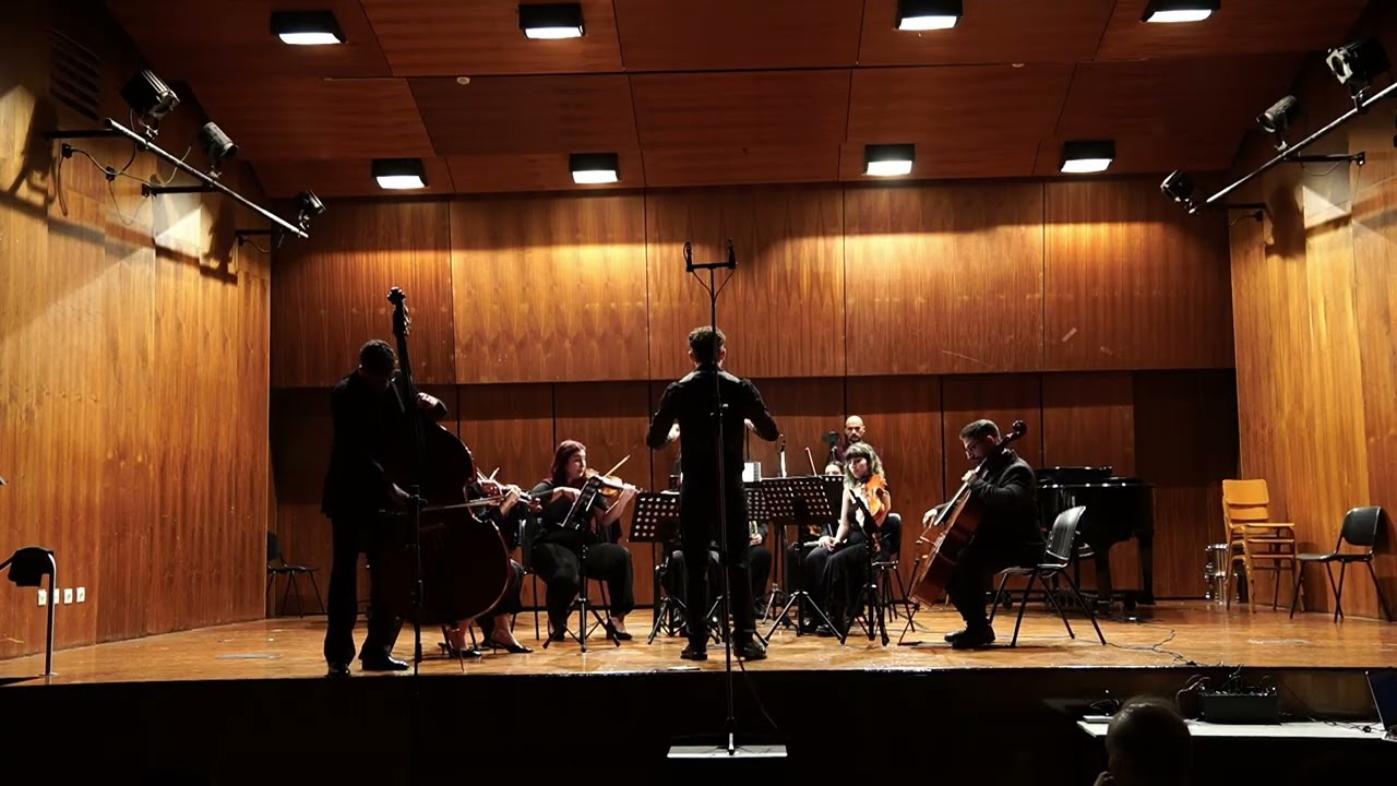 Dittersdorf double bass concerto 