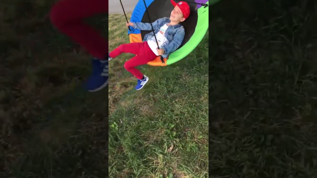 Kids Having Fun in a Saucer Tree Swing
