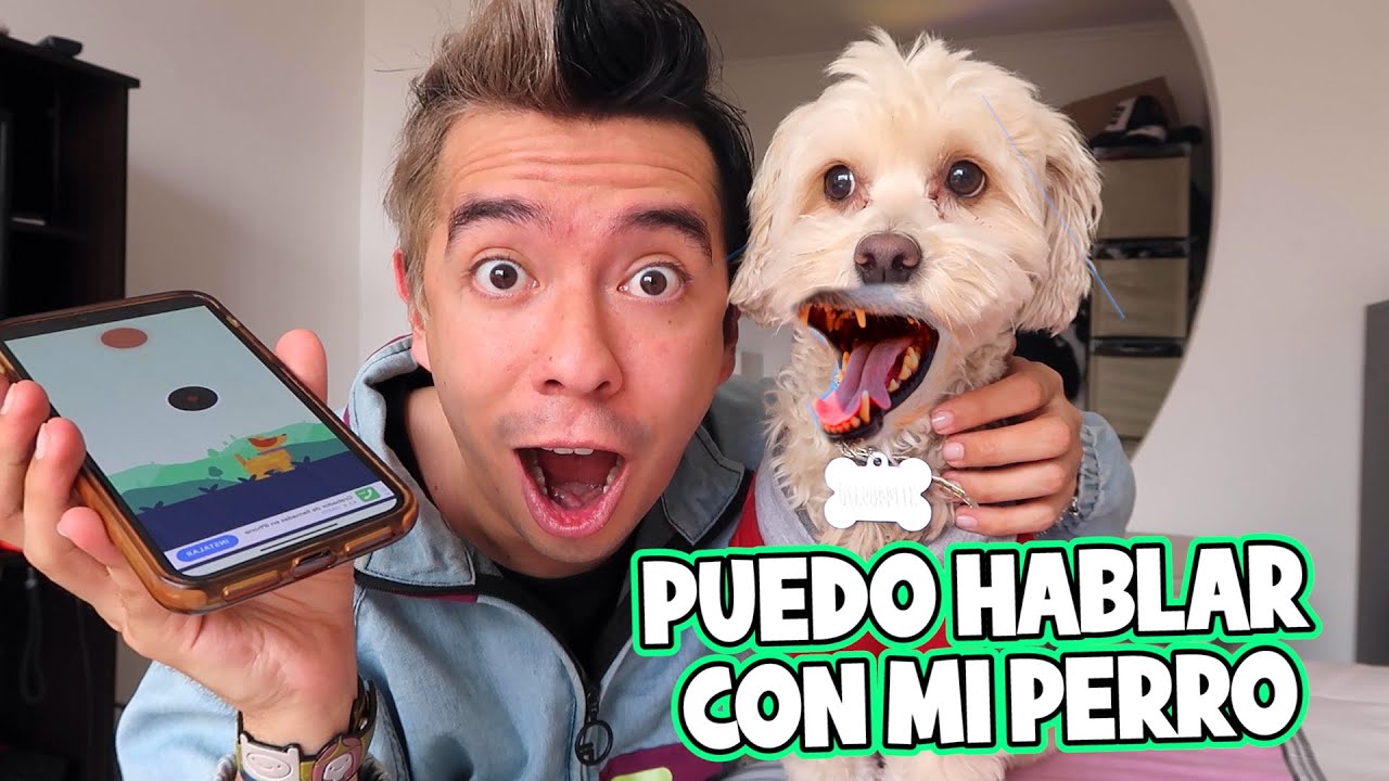 Hablo con MI PERRO por una APP del CELULAR y Lo Hago BAILAR - VLOG #119